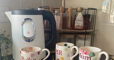 I tried a kettle-one cup hybrid and it’s the best way to make a brew and save energy