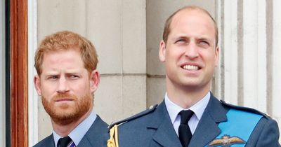 Prince Harry and Prince William were 'never very good friends' before Royal fallout