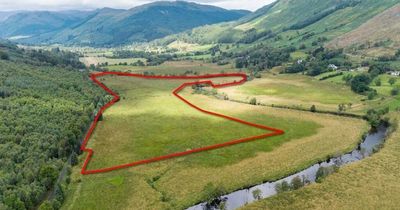 Warning issued over land auction offerings after listing of plot near Perthshire