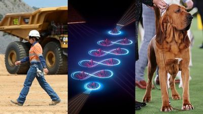 The Loop: An Australian quantum computing breakthrough, a mining industry sexual assault report, and which dog won Westminster's Best in Show