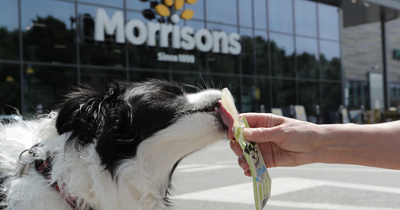 Morrisons selling ice treats for dogs to keep pets cool during summer heat