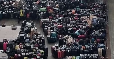 Passenger desperate as mum's ashes are lost in Heathrow's chaotic 'luggage pile'