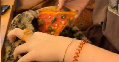 Students use sneaky trick to get week's worth of pizza from Gordon Ramsay