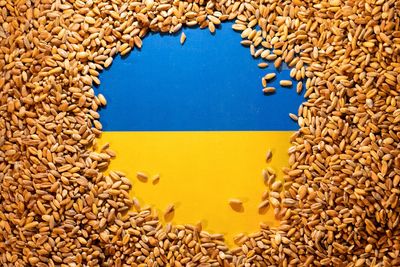 Turkey says it is probing claims Russia stole Ukrainian grain