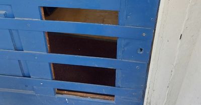 Aggressive teens terrorise Dublin residents leaving mum with injured hand