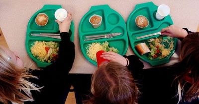 Which years will get free school meals from September in Wales depends on where you live