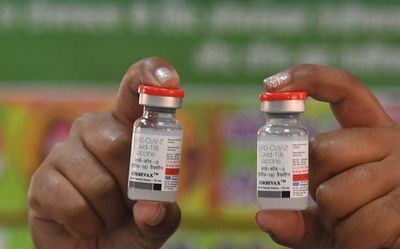 Wait for SARS-CoV-2 vaccine for pets gets longer