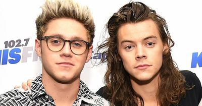 Harry Styles and Niall Horan's wild Dublin night-out as star headbutted at house party