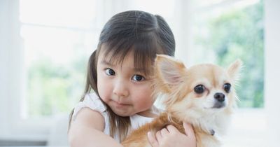 Mum 'losing her mind' over her toddler's annoying dog-like behaviour