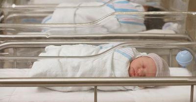 Glasgow police officers help deliver baby in back of car in frantic roadside birth