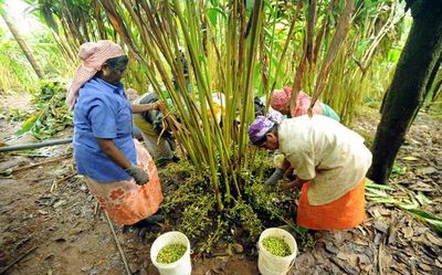 Climate change and food security