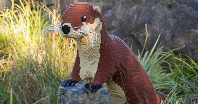 A Lego safari trail featuring giant animals is coming to Wales this summer