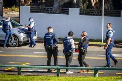 Four hurt in stabbing rampage in New Zealand