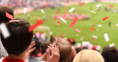 'Best job' for sports fans opens up as firm looks for worker to test biggest events