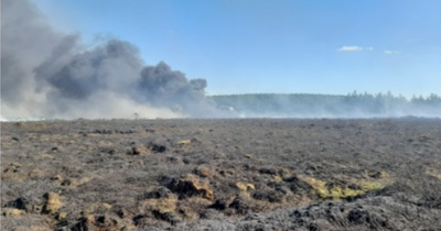 PSNI appeal after £30,000 damage caused to boardwalk in 'intentional fire'