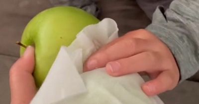 Mum has parents in stitches with 'genius' apple potty training method she teaches son