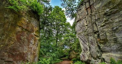 Four North East gardens named the most scenic to walk your dog in Northern England this summer