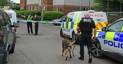 'Stabbing' at Glasgow housing estate as sniffer dogs brought in amid ongoing police probe
