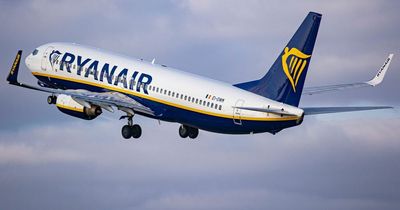 Ryanair flight travelling to UK from Spain in 'near miss' with private jet