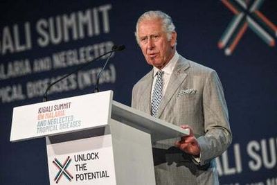 Prince Charles urges Commonwealth leaders to take action towards sustainable future