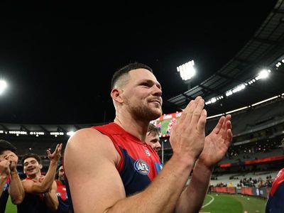 Steven May return steadies Demons' defence