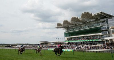 Friday racing tips from Newsboy with Cartmel Nap plus Newmarket and Chester picks