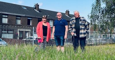 Belfast pensioners 'angry' at state of 'unusable' gardens in their Radius Housing Fold