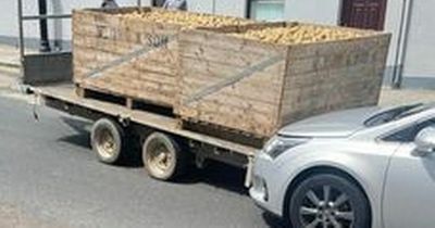 Runaway potato trailer damages cars in Comber