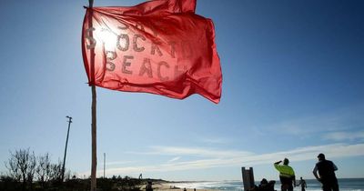 Newcastle council and state in stand-off over Stockton beach fix