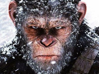 Disney Moving Forward With New 'Planet Of The Apes' Trilogy