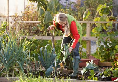 Second Scottish city achieves award for sustainability on food