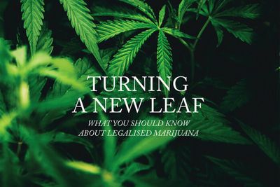 Turning a new leaf