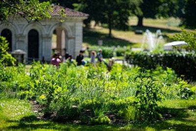 London’s newest green spaces — from bee-friendly gardens in Hyde Park to floating east London wetlands