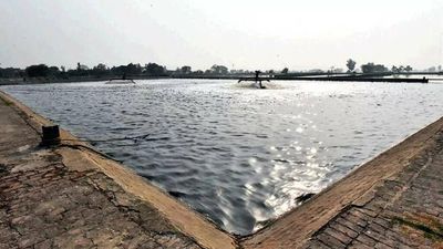 Haryana:‘Follow norms for reuse of treated waste water’