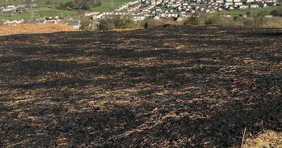 Fire chief calls on parents and carers to rein in firebug kids in wake of increased number of blazes