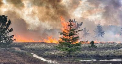 West Lothian wildfires almost double as fire chief urges parents to warn children