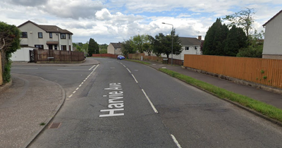 Glasgow police hunting workmen who tried to entice young girl into their car in Newton Mearns