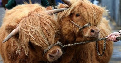 Food security and climate change research to receive £200m
