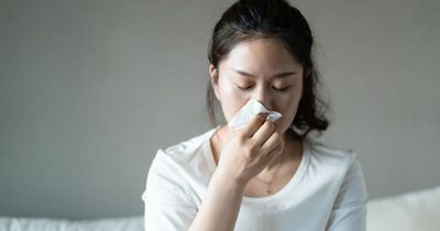 Covid Omicron symptoms vs hay fever - from stuffy nose to eye blisters