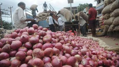 Centre procures 52,460 tonne onion till May for buffer stock