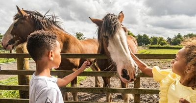 Lanarkshire museum launches initiative to help families connect with nature this summer
