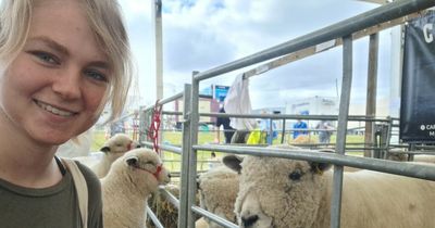 Edinburgh Royal Highland Show and an American tourist's take on the Scottish spectacle