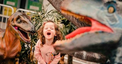 Jurassic Lanark comes roaring back as popular dinosaur trail launches today