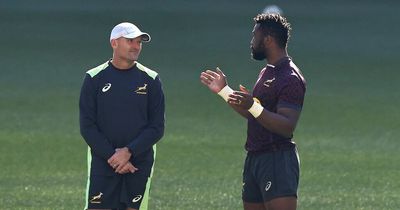 South Africa call Wales 'desperate' as Springboks coach reveals dinner conversation with Pivac