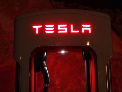 Korean Fund Cuts Tesla Stake To Decade-Low, Adds To Stake In These Chinese EV Makers Instead