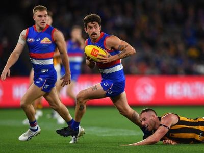 Liberatore stars, Dogs rout Hawks in AFL