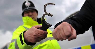 Drink-drive engineer kneed police officer in the groin