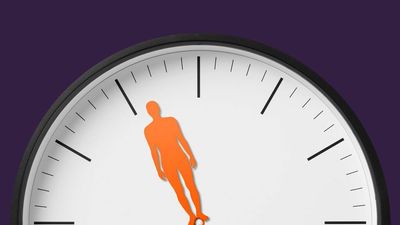 How your body clock drives your immune system