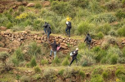 Thousands of migrants storm border fence in Spain's Melilla