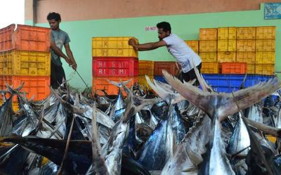 CBI conducts checks in Lakshadweep on Tuna fish export ‘scam’